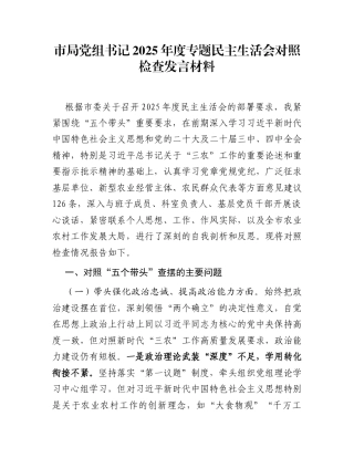 市局党组书记2025年度专题民主生活会对照检查发言材料