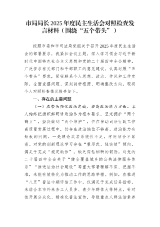 市局局长2025年度民主生活会对照检查发言材料（围绕“五个带头”）