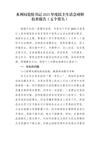 水利局党组书记2025年度民主生活会对照检查报告（五个带头）