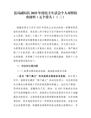 县局副局长2025年度民主生活会个人对照检查材料(五个带头)（三）