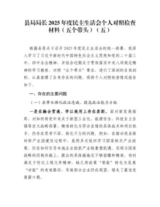 县局局长2025年度民主生活会个人对照检查材料(五个带头)（五）