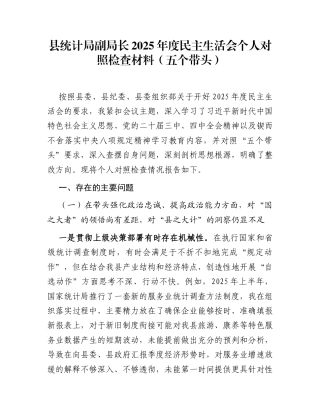 县统计局副局长2025年度民主生活会个人对照检查材料(五个带头)