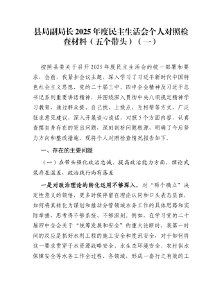县局副局长2025年度民主生活会个人对照检查材料(五个带头)（一）