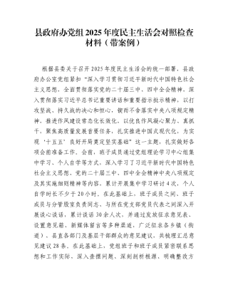 县政府办党组2025年度民主生活会对照检查材料(带案例)