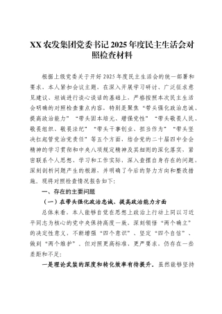 农发集团党委书记2025年度民主生活会对照检查材料
