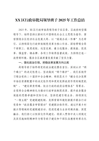 区行政审批局领导班子2025年工作总结