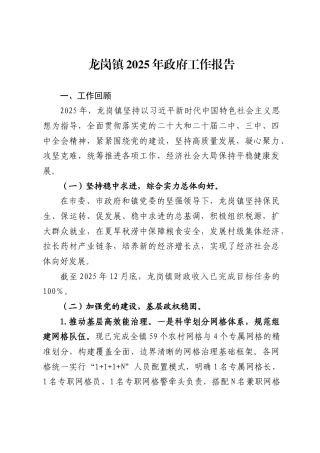 龙岗镇2025年政府工作报告