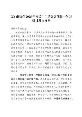 市长在2025年度民主生活会会前集中学习研讨发言材料