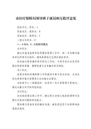 市医疗保障局领导班子成员相互批评意见