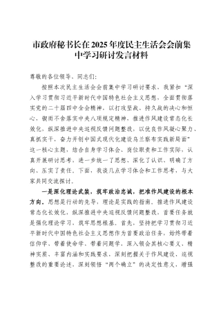 市政府秘书长在2025年度民主生活会会前集中学习研讨发言材料.