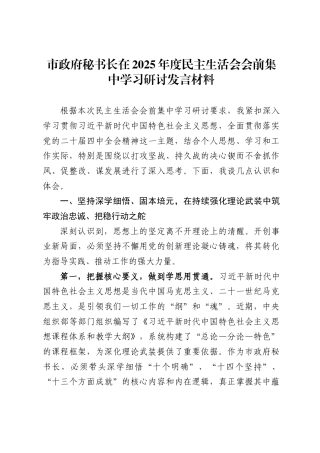 市政府秘书长在2025年度民主生活会会前集中学习研讨发言材料