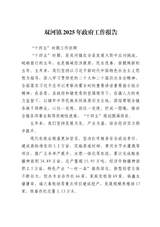 双河镇2025年政府工作报告