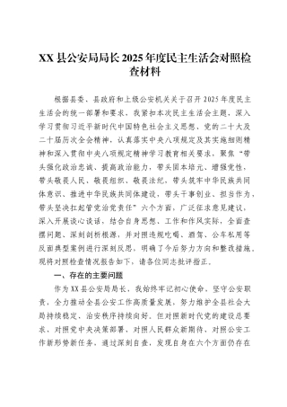 县公安局局长2025年度民主生活会对照检查材料（包含带头筑牢中华民族共同体意识）
