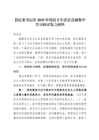 县纪委书记在2025年度民主生活会会前集中学习研讨发言材料-