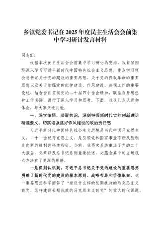 乡镇党委书记在2025年度民主生活会会前集中学习研讨发言材料.