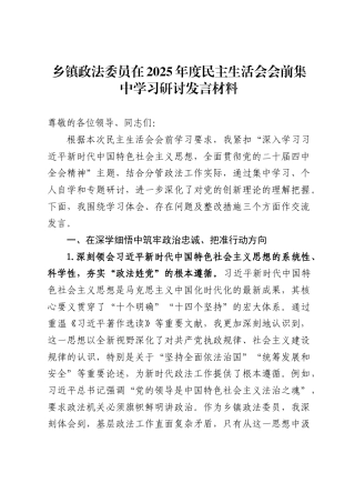 乡镇政法委员在2025年度民主生活会会前集中学习研讨发言材料 .