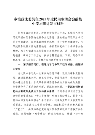 乡镇政法委员在2025年度民主生活会会前集中学习研讨发言材料