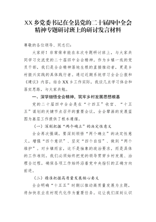 XX乡党委书记在全县党的二十届四中全会精神专题研讨班上的研讨发言材料