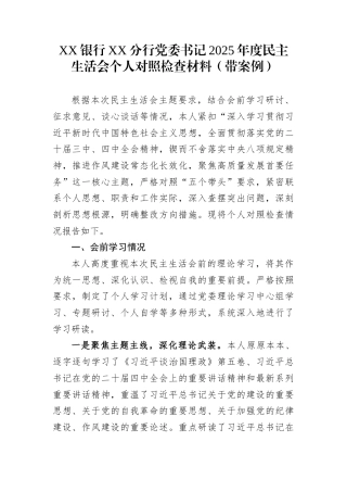 XX银行XX分行党委书记2025年度民主生活会个人对照检查材料（带案例）