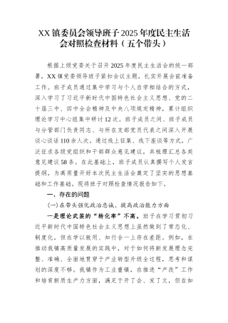 XX镇委员会领导班子2025年度民主生活会对照检查材料（五个带头）