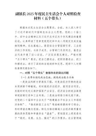 副镇长2025年度民主生活会个人对照检查材料（五个带头）