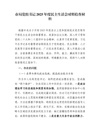市局党组书记2025年度民主生活会对照检查材料