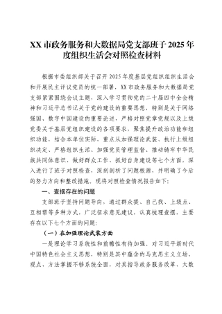 市政务服务和大数据局党支部班子2025年度组织生活会对照检查材料-