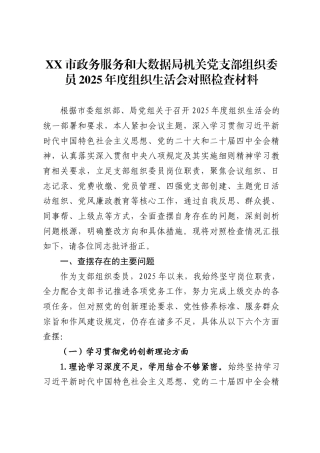 市政务服务和大数据局机关党支部组织委员2025年度组织生活会对照检查材料.