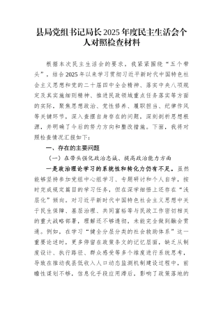 县局党组书记局长2025年度民主生活会个人对照检查材料