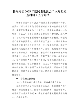 县局局长2025年度民主生活会个人对照检查材料（五个带头）