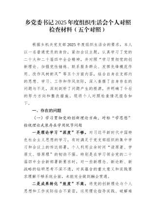乡党委书记2025年度组织生活会个人对照检查材料（五个对照）