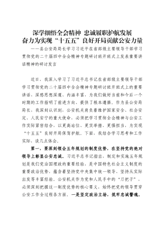 县公安局局长学习习近平在省部级主要领导干部学习贯彻党的二十届四中全会精神专题研讨班开班式上发表重要讲话精神的研讨发言