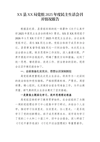 XX县XX局党组2025年度民主生活会召开情况报告