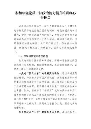 参加年轻党员干部政治能力提升培训班心得体会