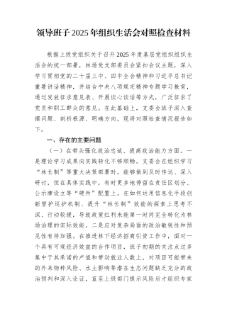 领导班子2025年组织生活会对照检查材料