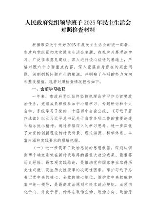人民政府党组领导班子2025年民主生活会对照检查材料