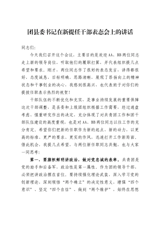 团县委书记在新提任干部表态会上的讲话.