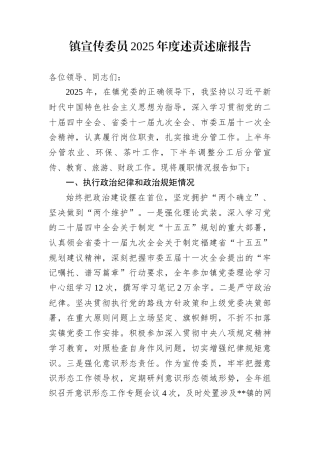 镇宣传委员2025年度述责述廉报告