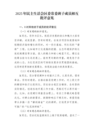 2025年民主生活会区委常委班子成员相互批评意见