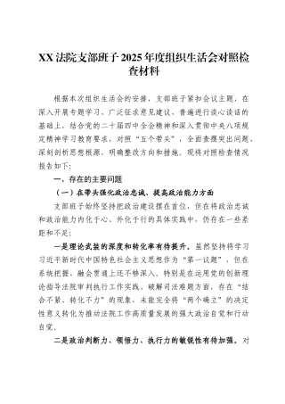 法院支部班子2025年度组织生活会对照检查材料