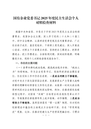 国有企业党委书记2025年度民主生活会个人对照检查材料