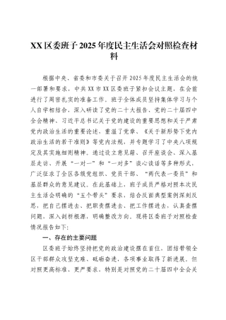 区委班子2025年度民主生活会对照检查材料）