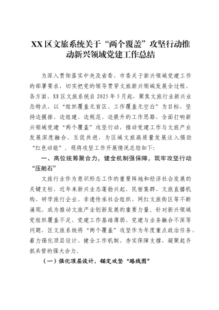 区文旅系统关于“两个覆盖”攻坚行动推动新兴领域党建工作总结.