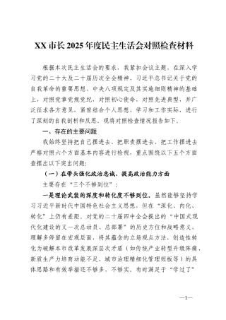 市长2025年度民主生活会对照检查材料.