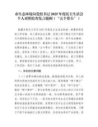 市生态环境局党组书记2025年度民主生活会个人对照检查发言提纲（“五个带头”）