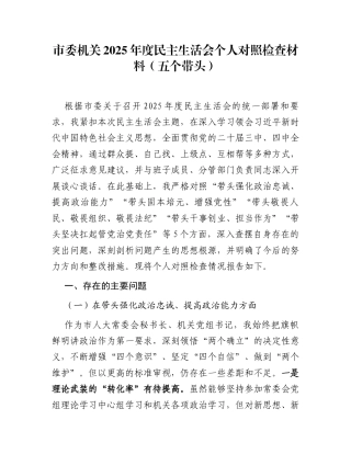 市委机关2025年度民主生活会个人对照检查材料（五个带头）