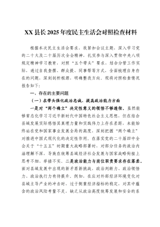 县长2025年度民主生活会对照检查材料.