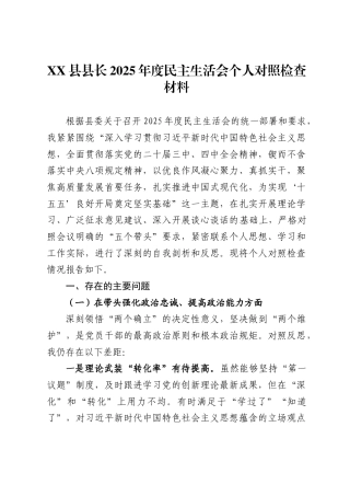 县长2025年度民主生活会个人对照检查材料