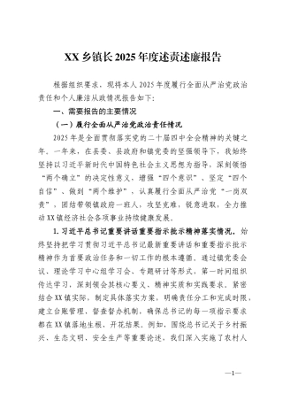 乡镇长2025年度述责述廉报告.