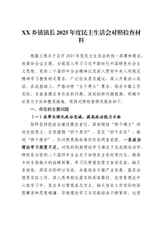 乡镇镇长2025年度民主生活会对照检查材料